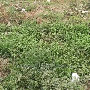 Land for Sale at Osapa London Lekki