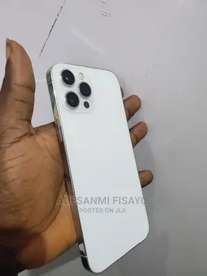 Apple iPhone 12 Pro Max 256 GB Silver