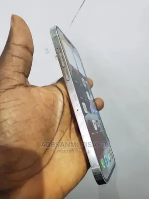 Apple iPhone 12 Pro Max 256 GB Silver