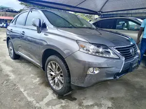 Lexus RX 2013 Gray