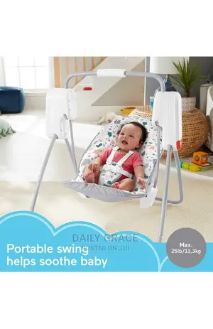 Fisherprice Take Along Swing