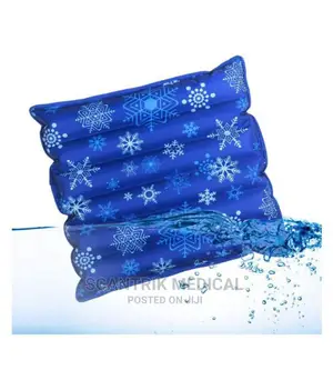Quality Water Filling Ice Cushion Home Car Chair