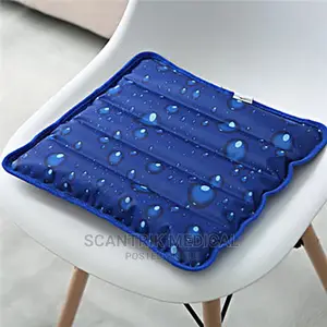Water Seat Cushion
