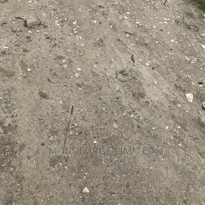 3700sqm Land in Lekki Phase 1 Facing the Express, P SQM