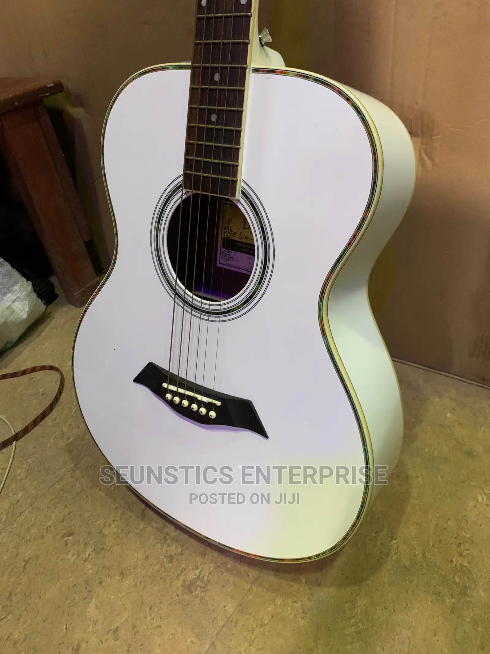 Quality/Professional Medium Size Dame Acoustic Guitar