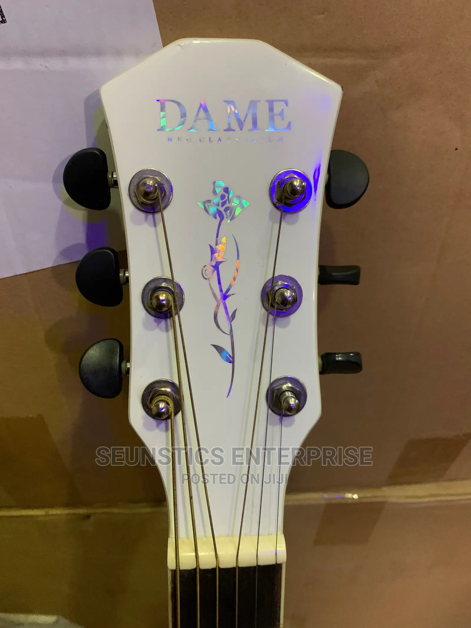 Quality/Professional Medium Size Dame Acoustic Guitar