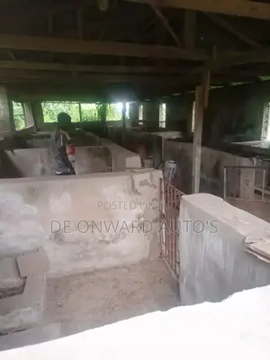 Acres of Land for Sale