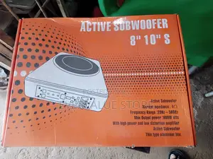 Under Seat Woofer 10inches With Inbuilt Amplifier