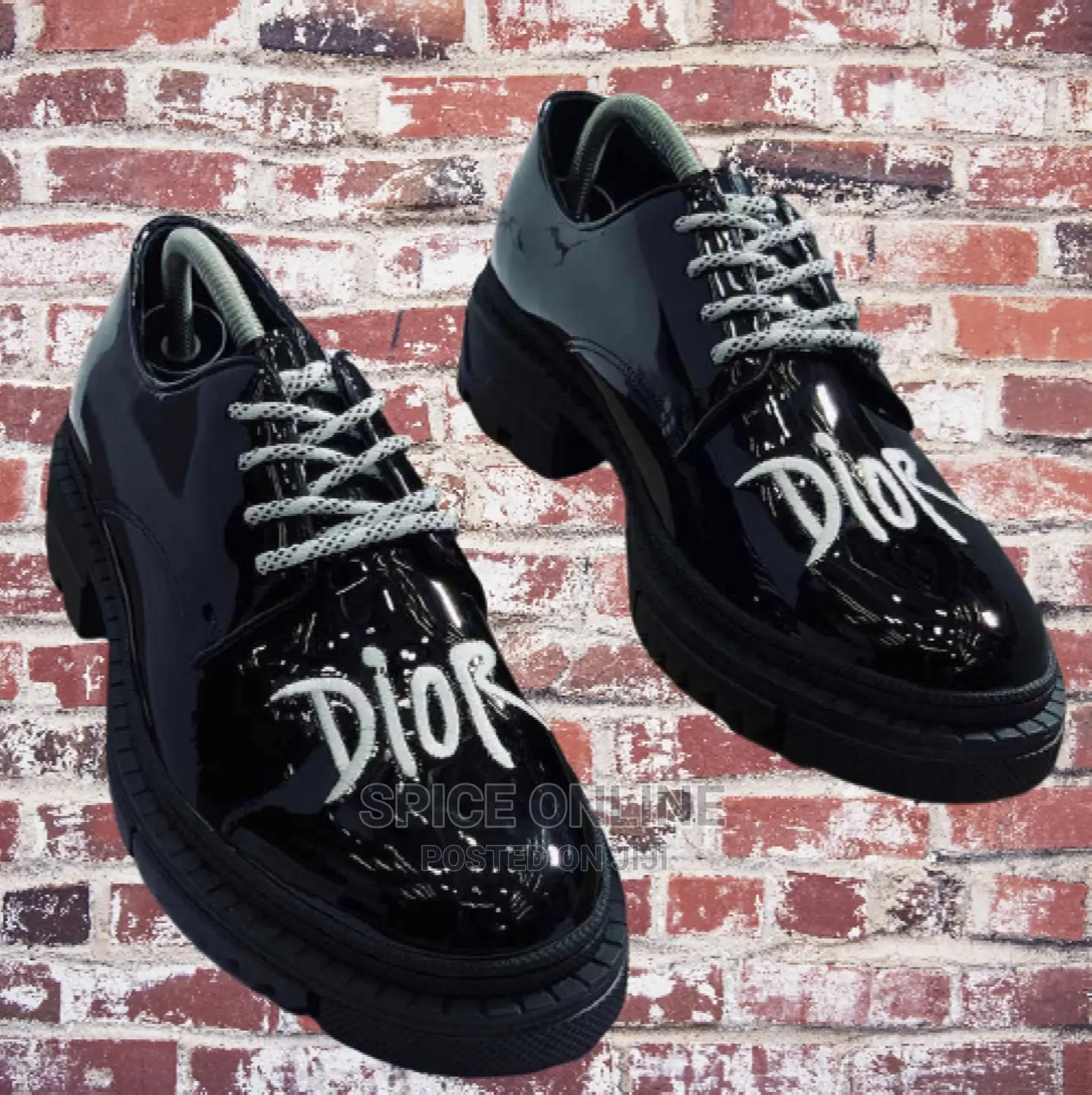 VIP: DIOR Quality Shoe