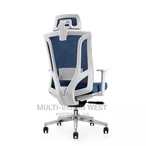 Ergonomic and Bionic Office Chairs