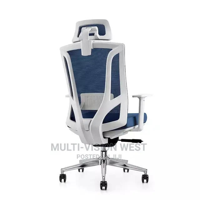 Ergonomic and Bionic Office Chairs