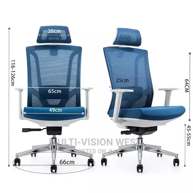 Ergonomic and Bionic Office Chairs