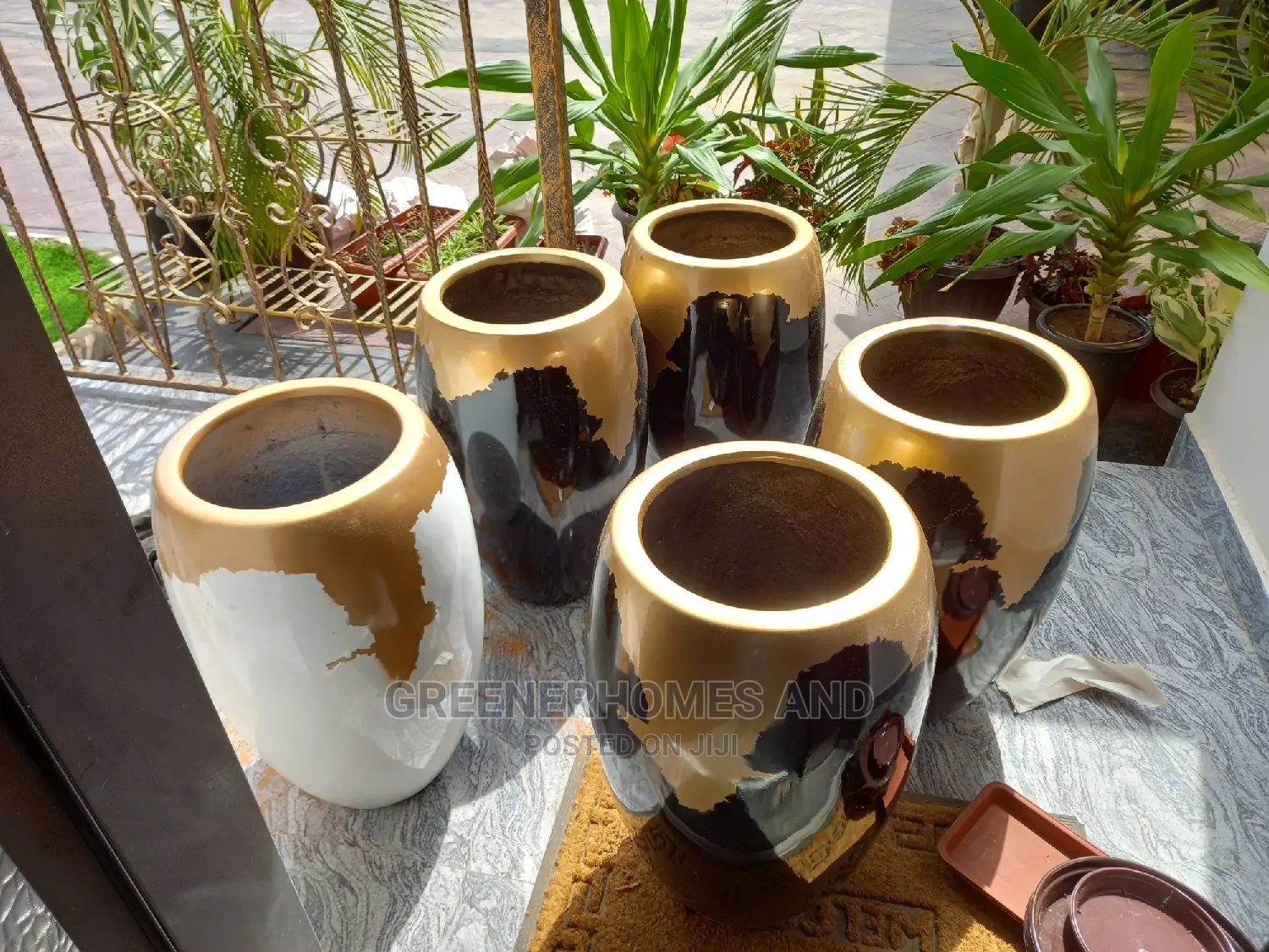 Fiberglass Pot and Live Plant