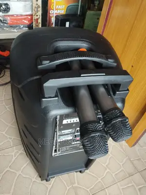 Speaker With 2 Wireless Mic at Abuja