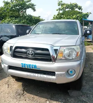 Toyota Tacoma 2010 Silver