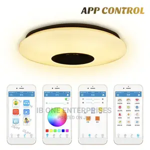 Free Delivery Ceiling Light App Bluetooth Music Speaker