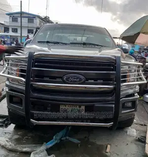 Front Guard for Ford F150