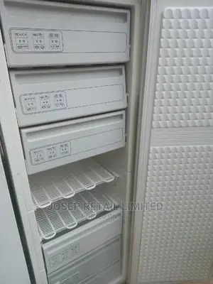 Bosch German European Upright Freezer
