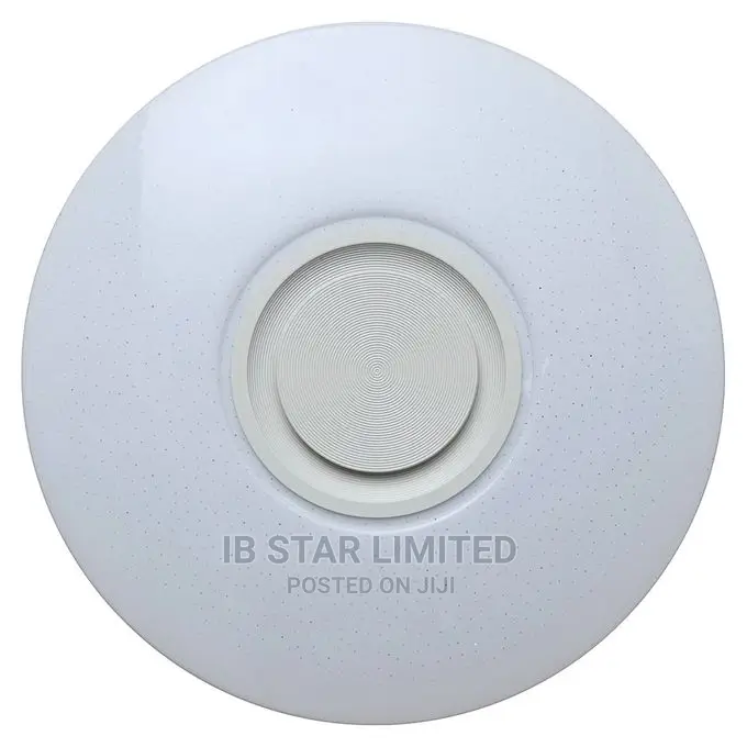 Home Lighting Free Delivery APP Control Bluetooth Speaker
