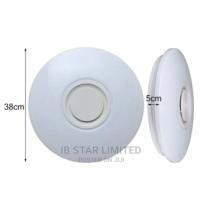 Home Lighting Free Delivery APP Control Bluetooth Speaker