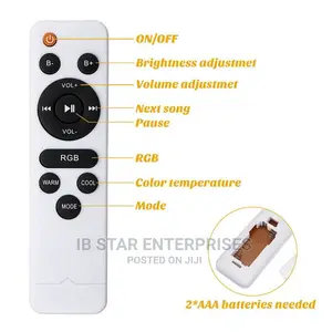 Bluetooth Music Speaker LED RGB Free Delivery Ceiling Light