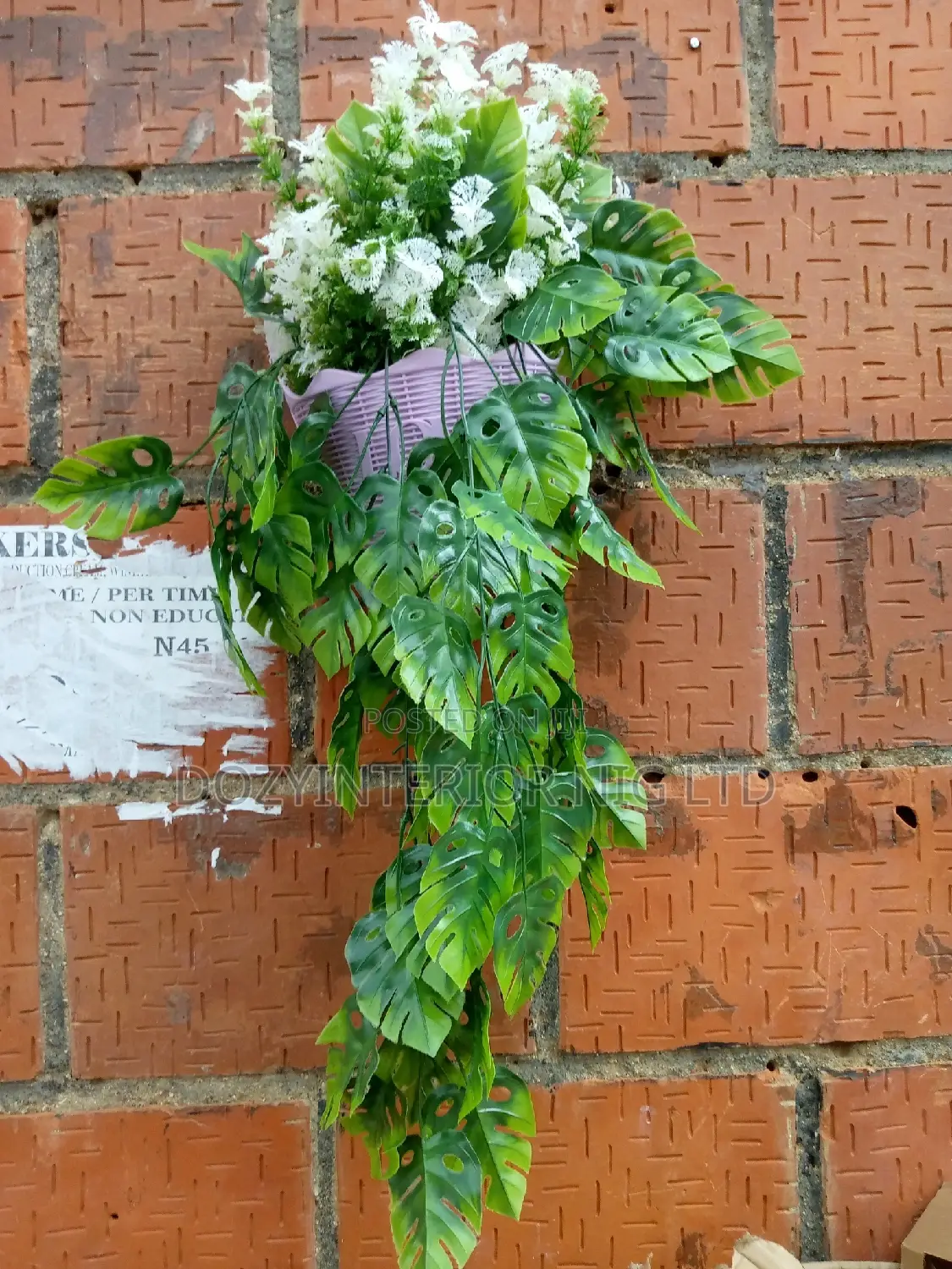 Wall Flower