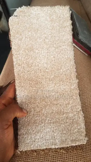 Executive Vip Rugs, #15,500 Per Sqm.