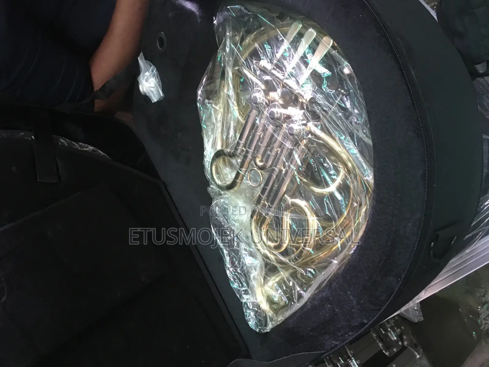 Professional French Horn