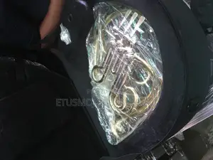 Professional French Horn