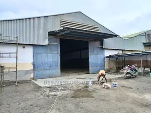 2000sqm Warehouse for Storage