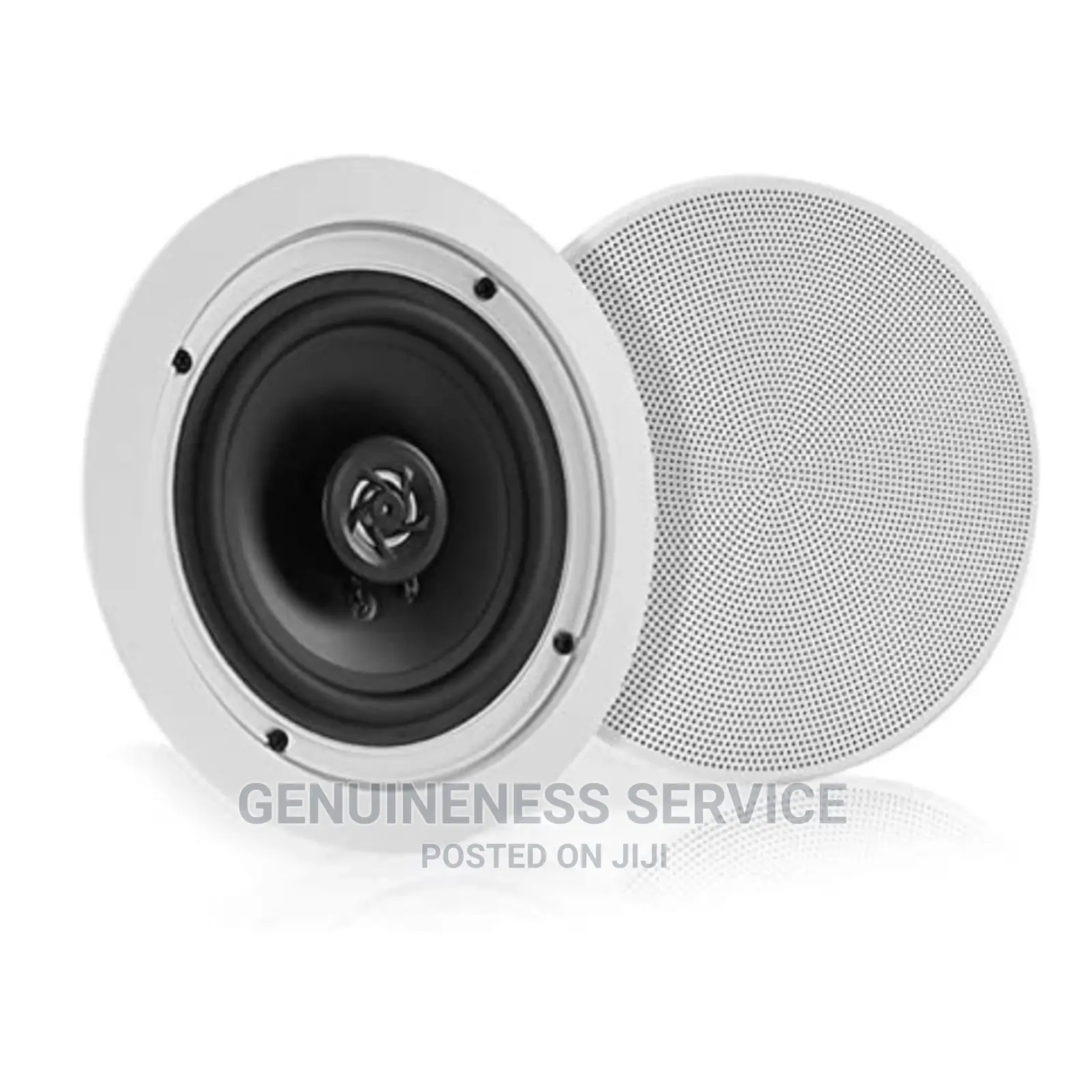 Ceiling Speaker