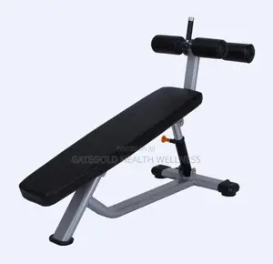 Adjustable Abdominal Bench (Premium) Wt-A56