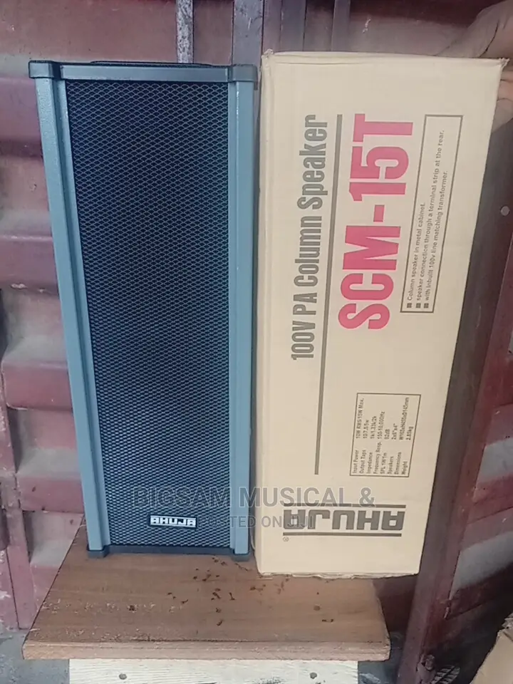 Ahuja Wall Speaker