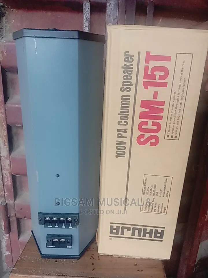 Ahuja Wall Speaker