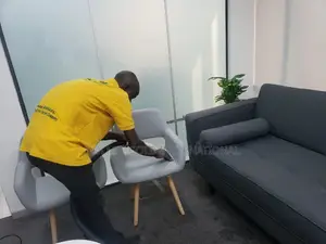 Sofa and Rug Cleaning
