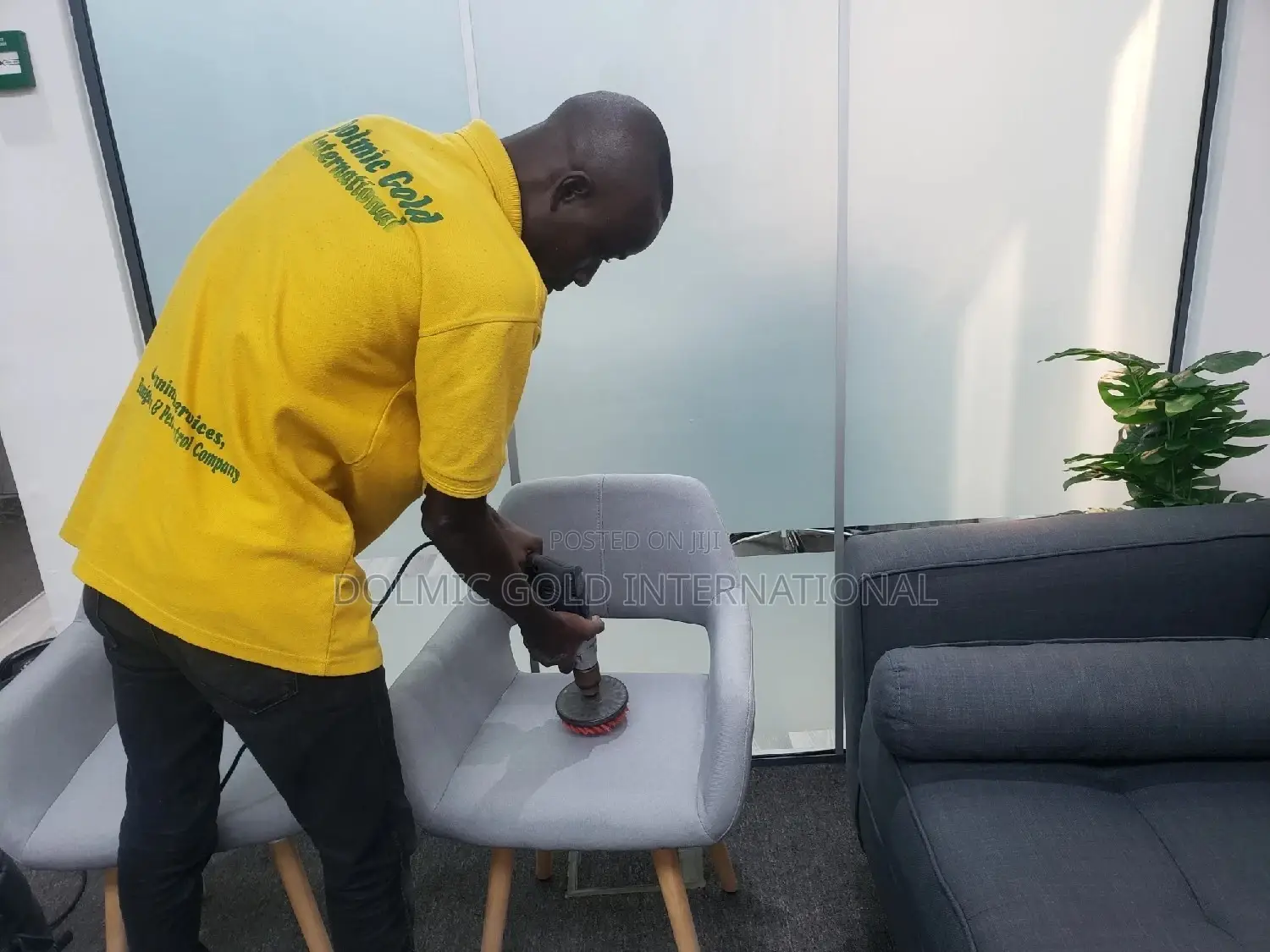 Rug/Carpet, Sofa Cleaners