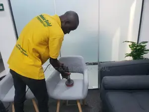 Rug/Carpet, Sofa Cleaners