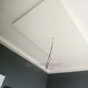 Professional Painter Nd Pop