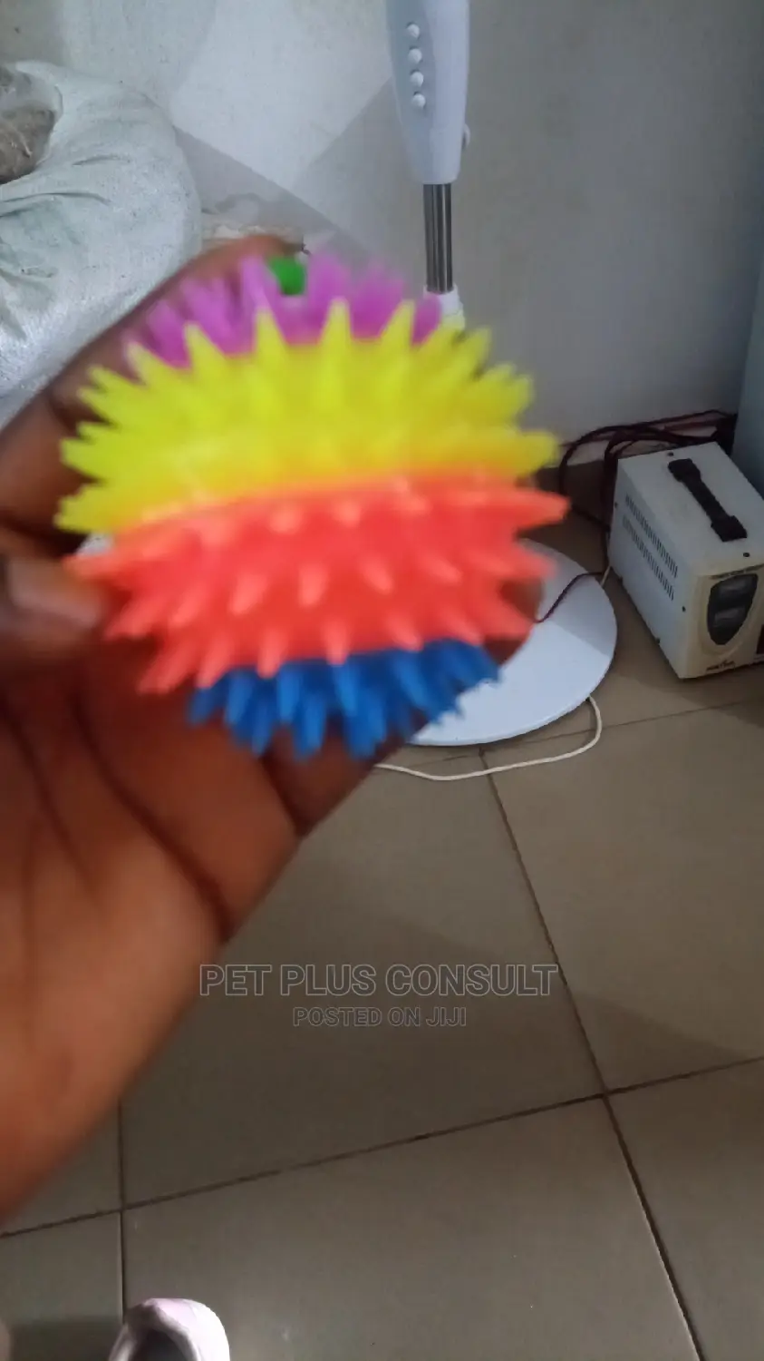 Pet Toy Balls