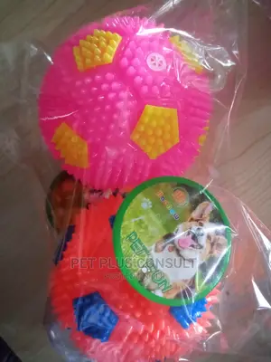Pet Toy Balls