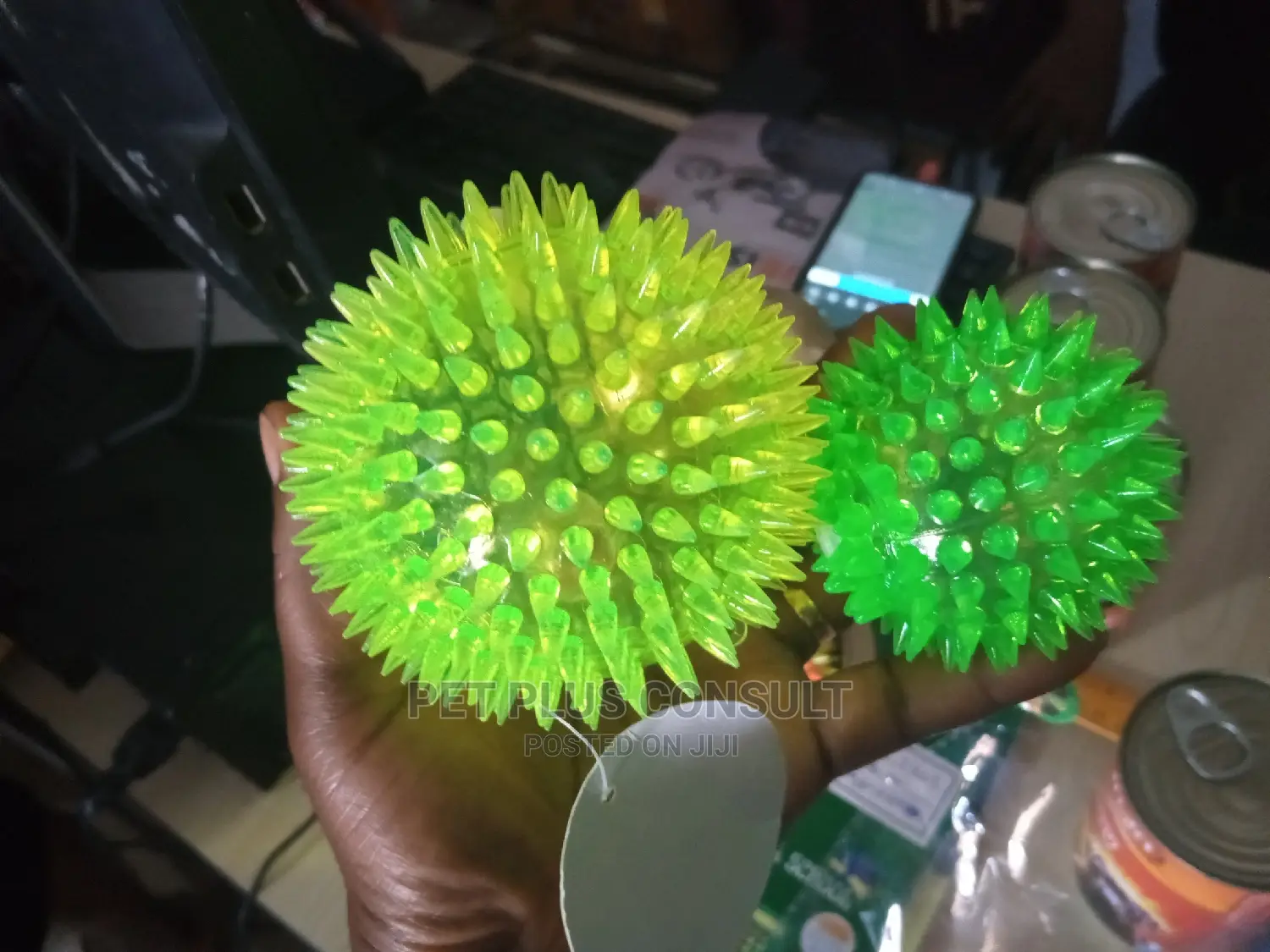 Pet Toy Balls