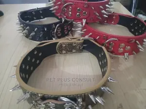 Spike Collars for Large Breeds