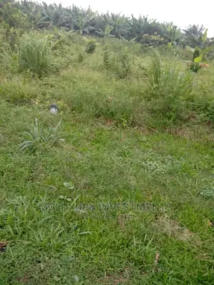 Land and Plots for Sale at Old Ikoyi