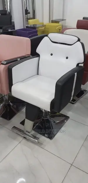 New Luxury Salon Chair