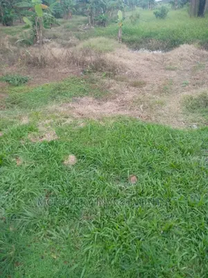 Land and Plots for Sale With Lagos C of O