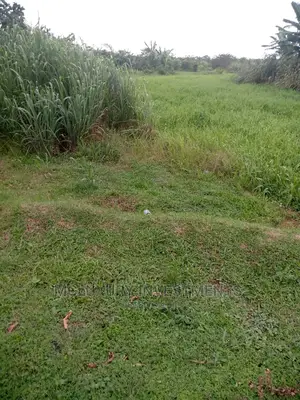 Land for Sale With Lagos C.Of O