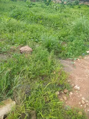 Land for Sale With Lagos C of O in Ajah