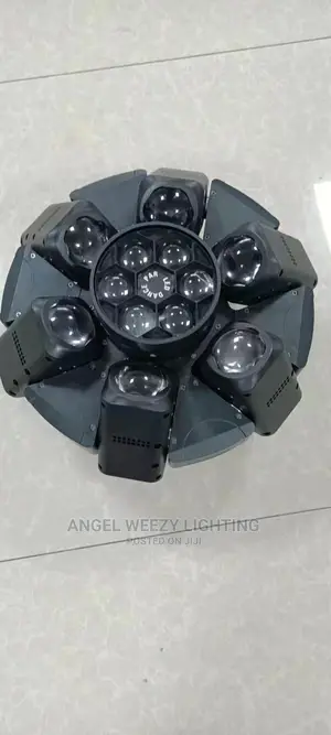6 Arm With Bee Eyes