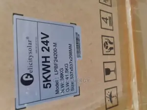 5kwh 24v Falicity Lithium Iron Battery Lpbf24200-m