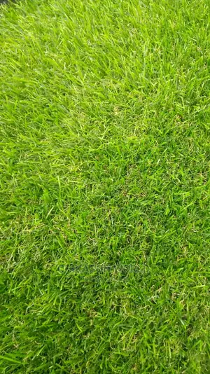 High Quality Synthetic Grass Carpet